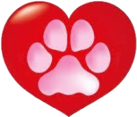 a valentine's day paw heart